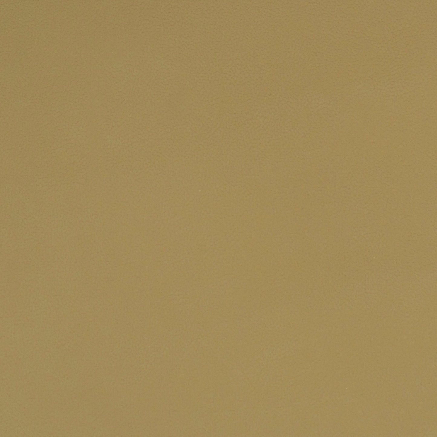 Solid beige leather color swatch
