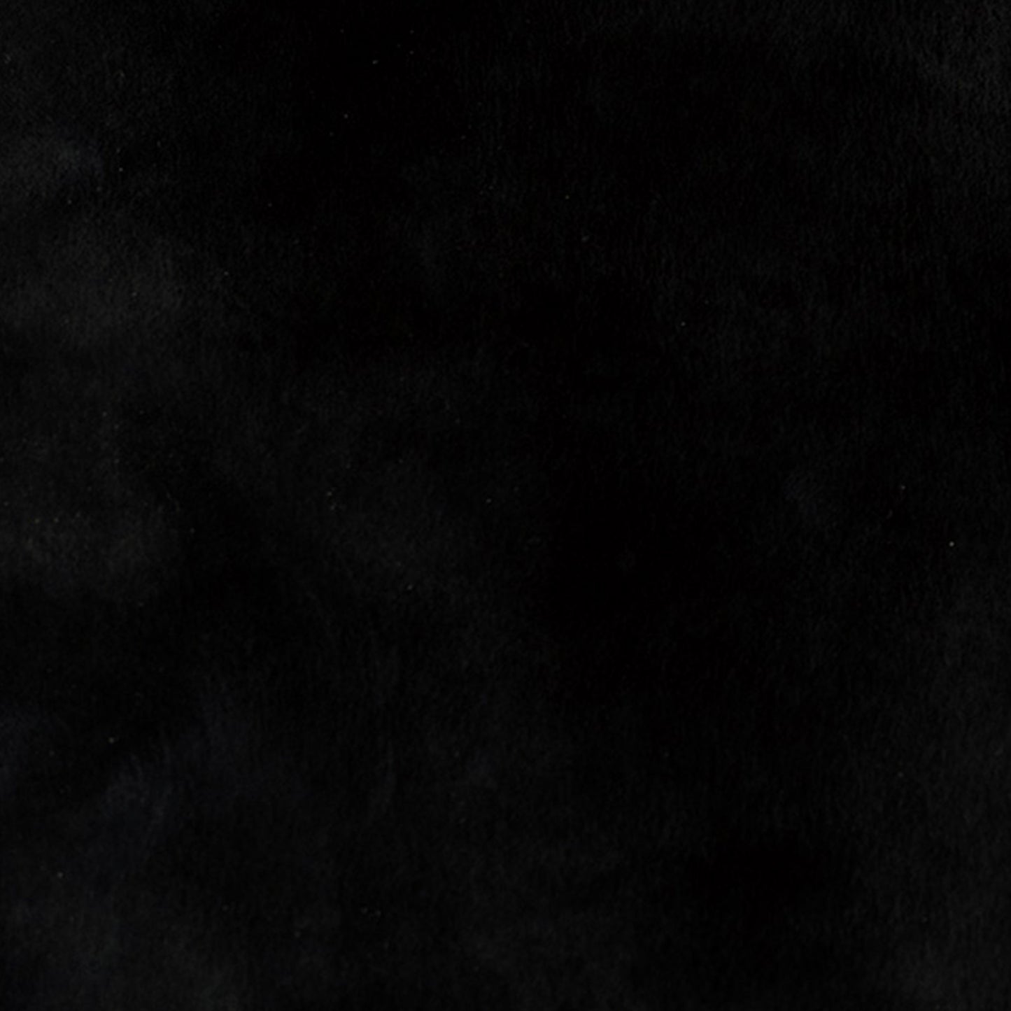 Solid black leather color swatch