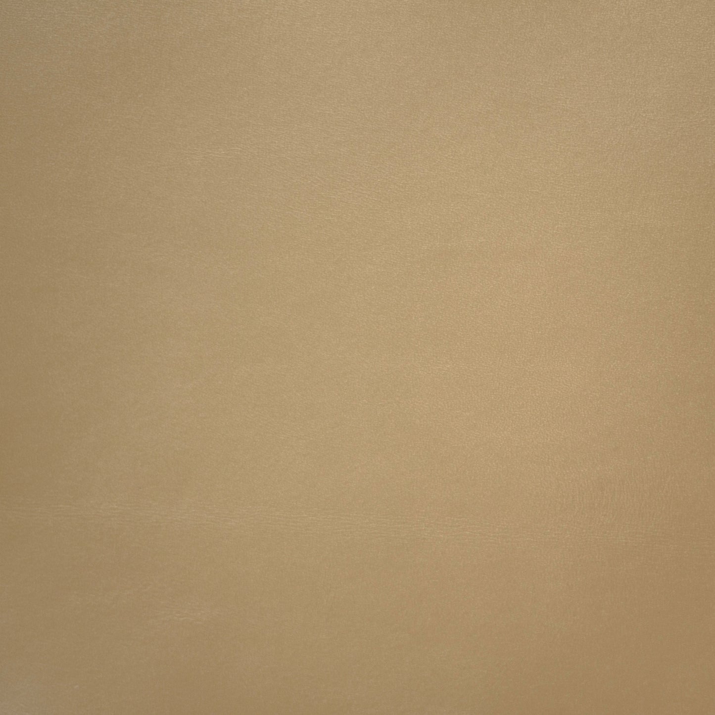 Beige color leather swatch