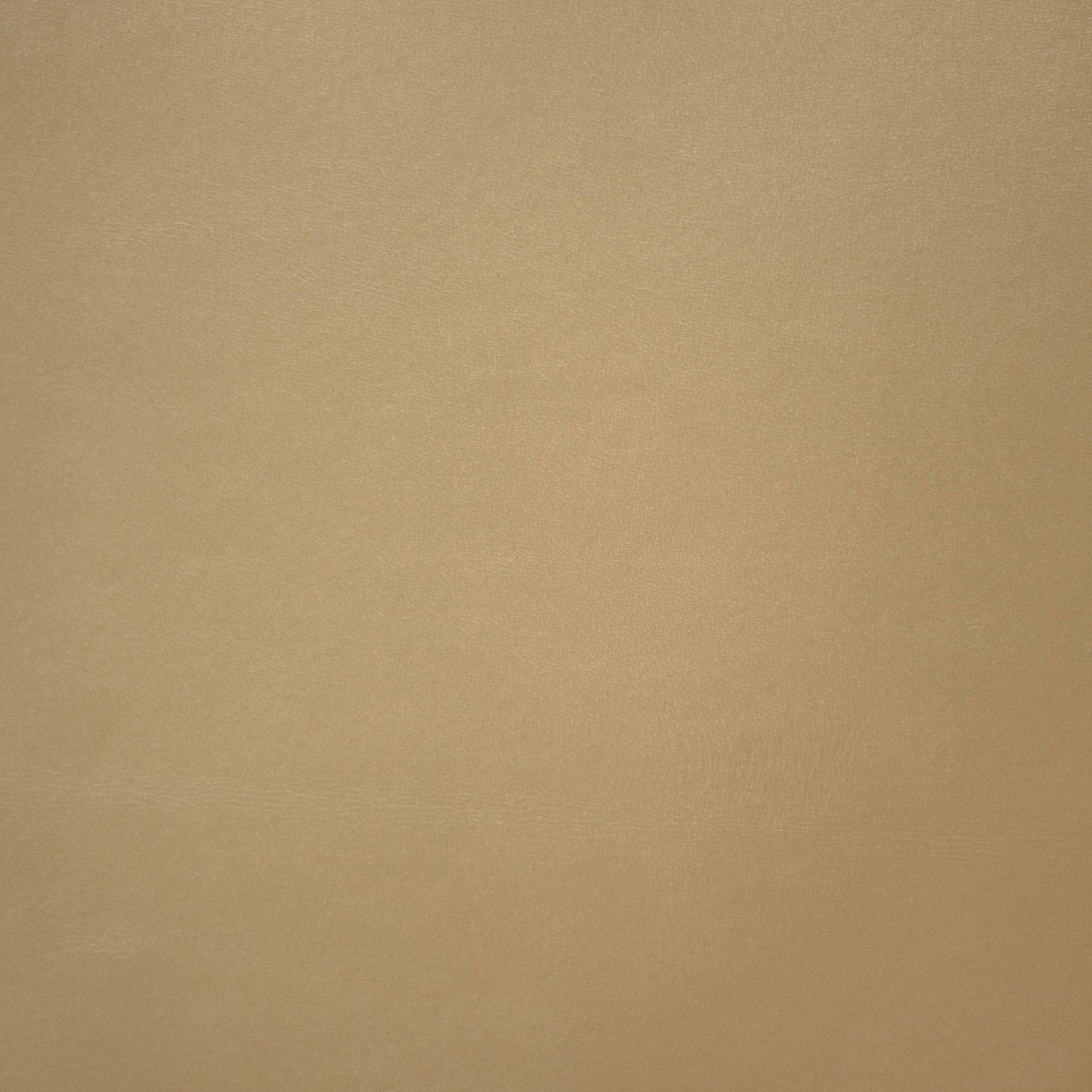 Belmont Cosmic Latte