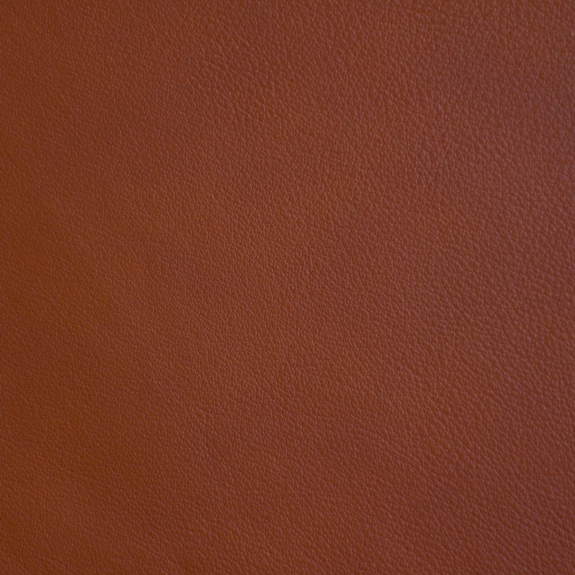 Black Forest, Tree Sap, Spilltop® Water Resistance, Hospitality Leather Hide