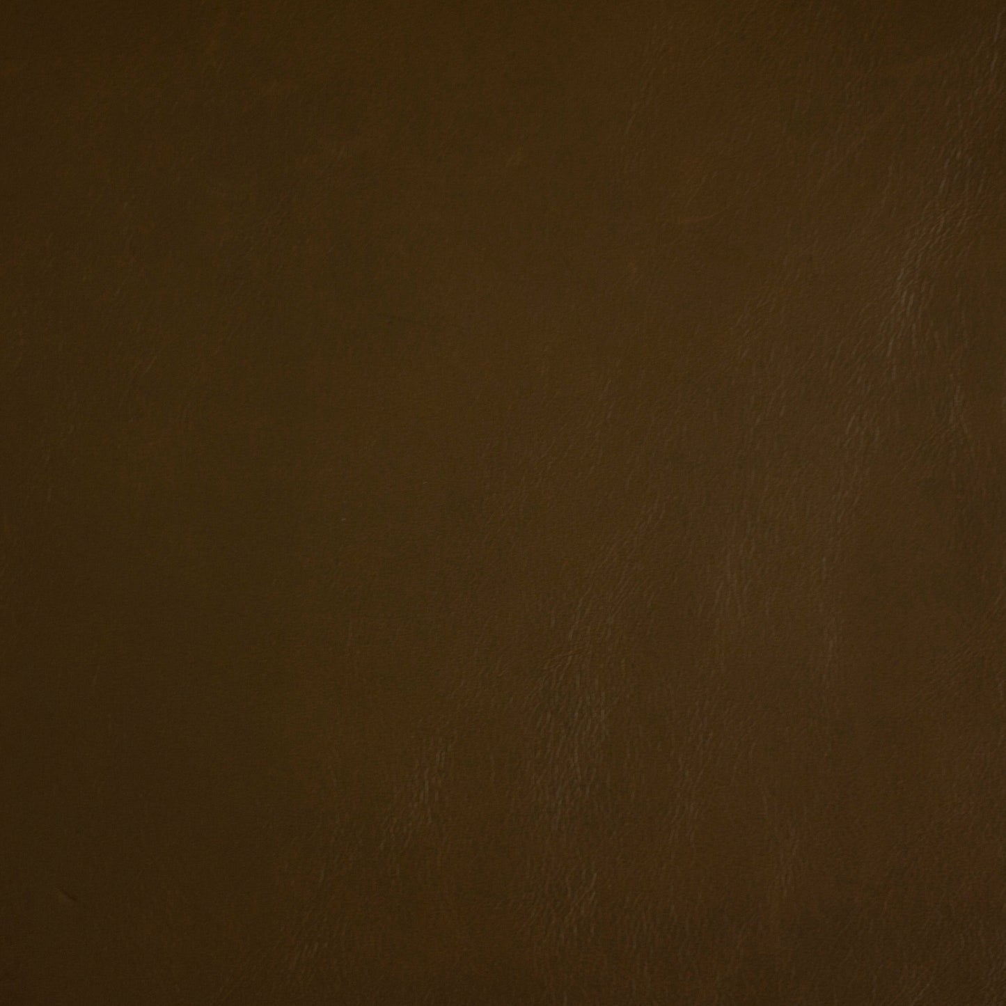 Chamonix, Alpine Meadow, Spilltop® Water Resistance, Hospitality Leather Hide