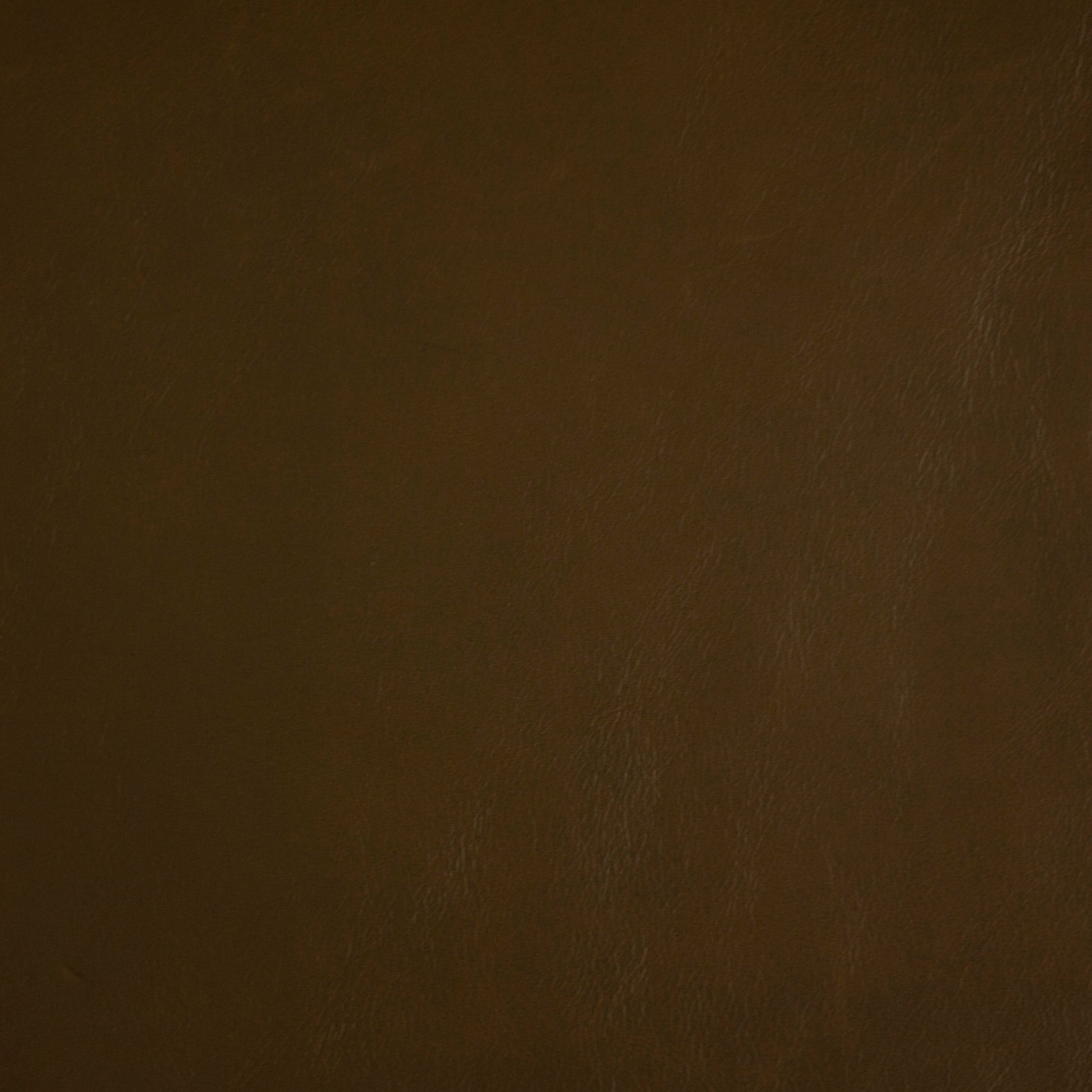 Chamonix, Alpine Meadow, Spilltop® Water Resistance, Hospitality Leather Hide