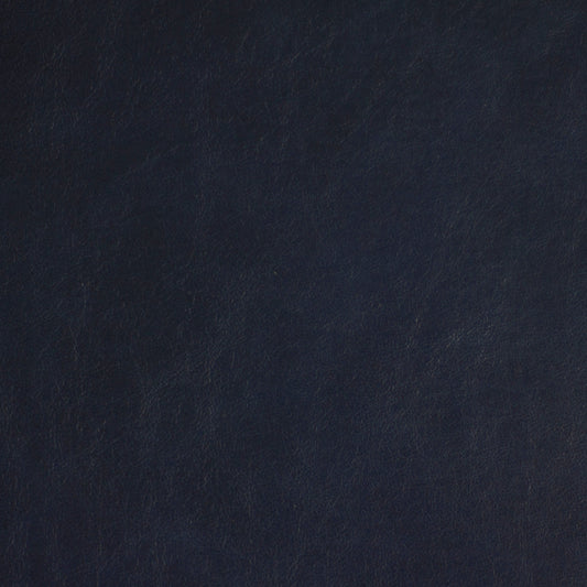 Chamonix, Roquefort, Spilltop® Water Resistance, Hospitality Leather Hide