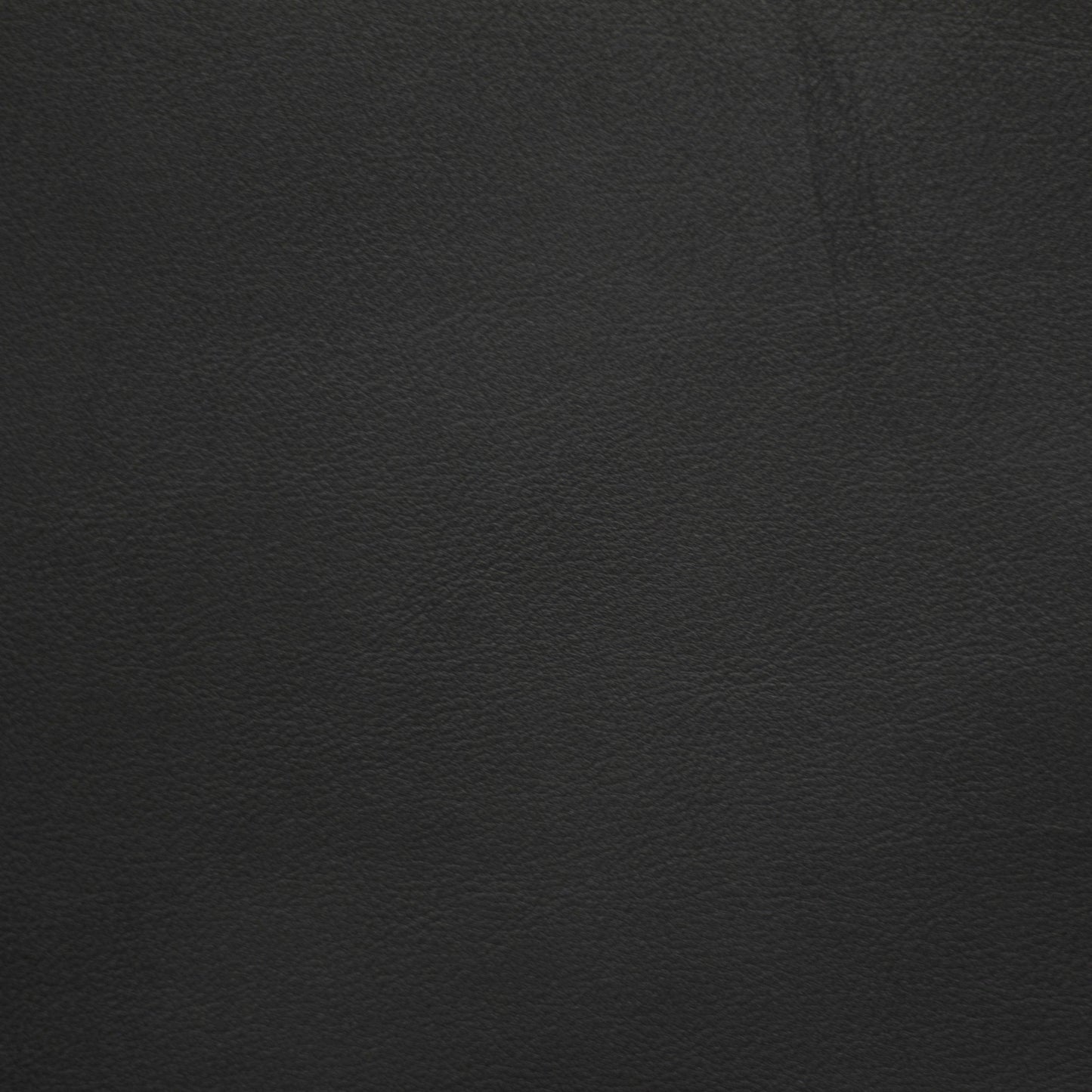 Chinkapin, Pronghorn, Bayer® Protective Top Coat, Hospitality Leather Hide