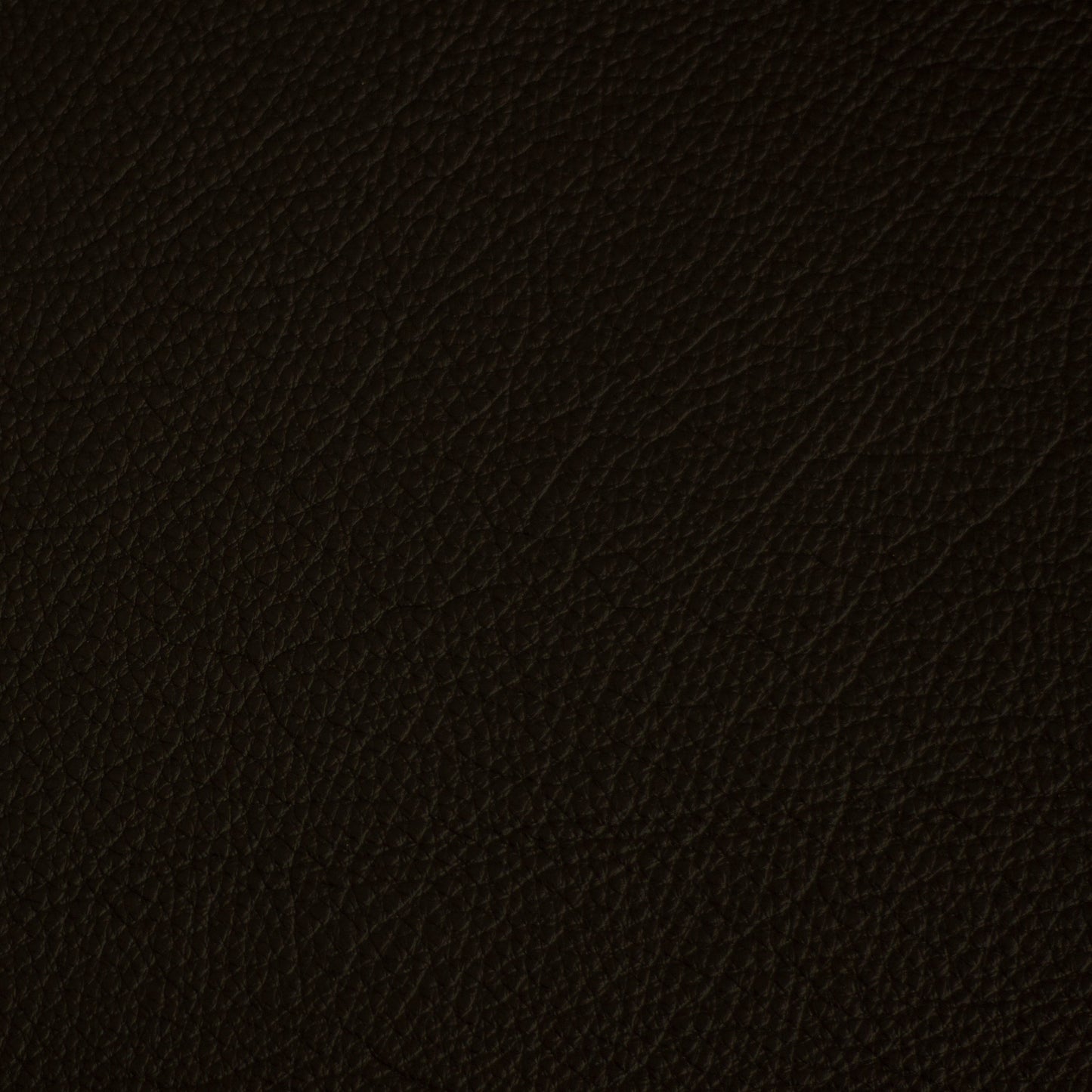 Cityscape, Bean, Spilltop® Water Resistance, Hospitality Leather Hide