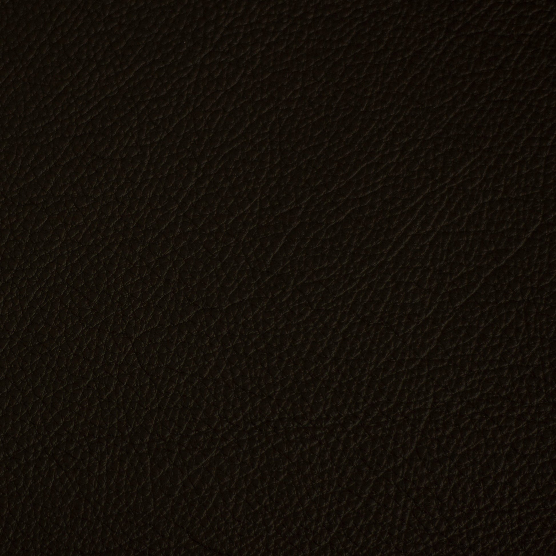 Cityscape, Bean, Spilltop® Water Resistance, Hospitality Leather Hide