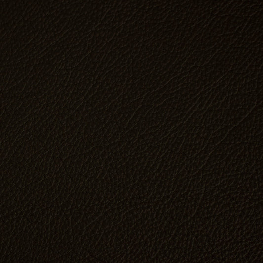 Cityscape, Bean, Spilltop® Water Resistance, Hospitality Leather Hide