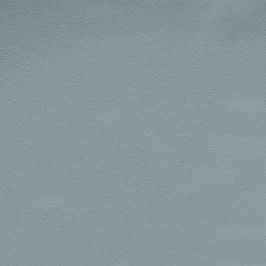Diva, Baby Blue, Iconic® Antimicrobial & Cleanable, Hospitality Leather Hide