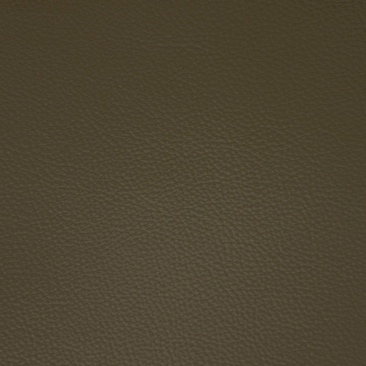 Diva, Fennel, Iconic® Antimicrobial & Cleanable, Hospitality Leather Hide