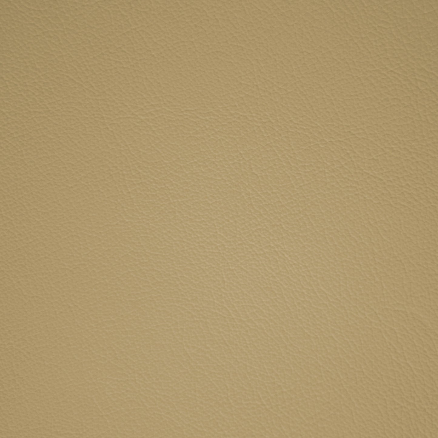 Diva Gypsum