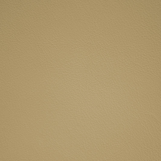 Diva Gypsum
