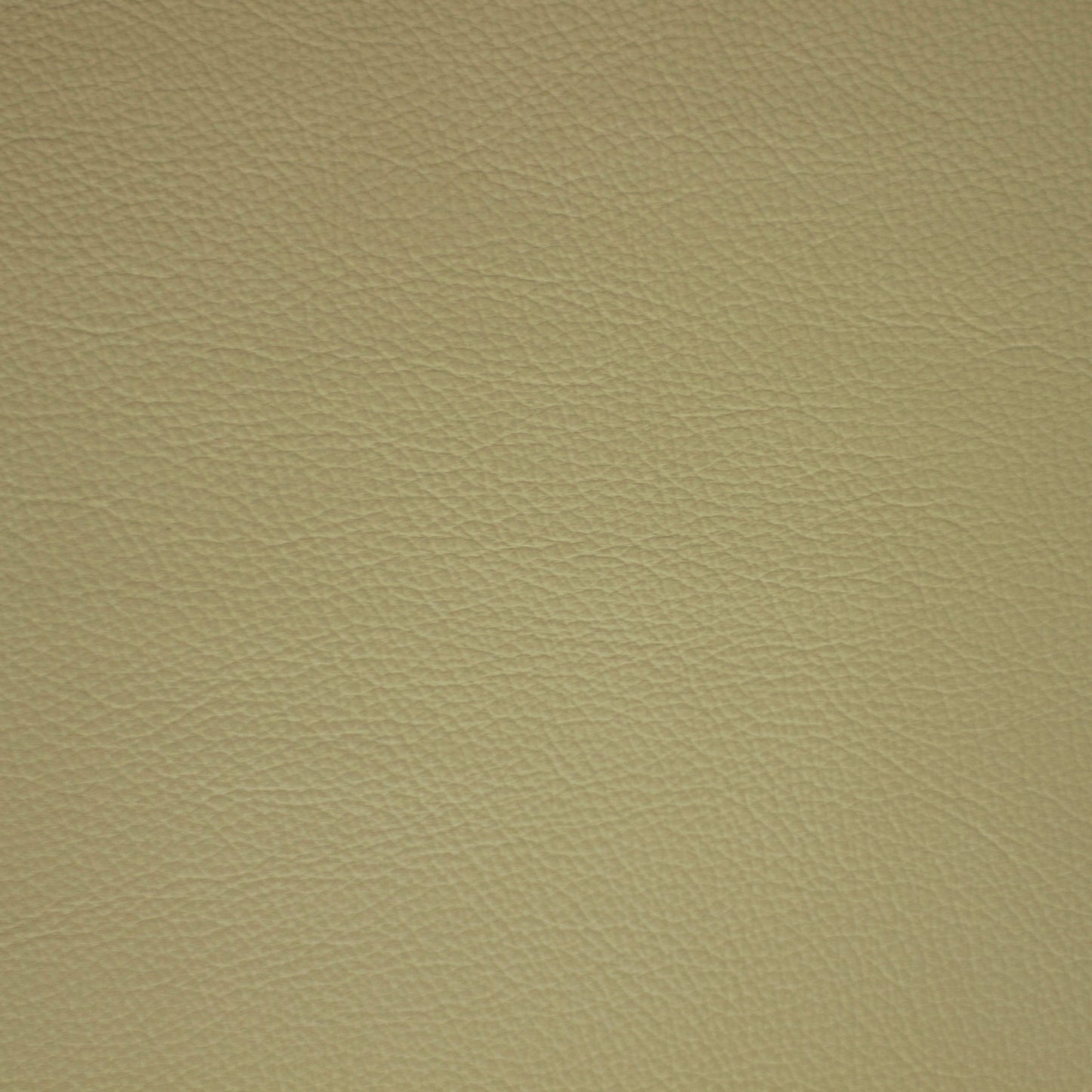 Diva, Jonquil, Iconic® Antimicrobial & Cleanable, Hospitality Leather Hide