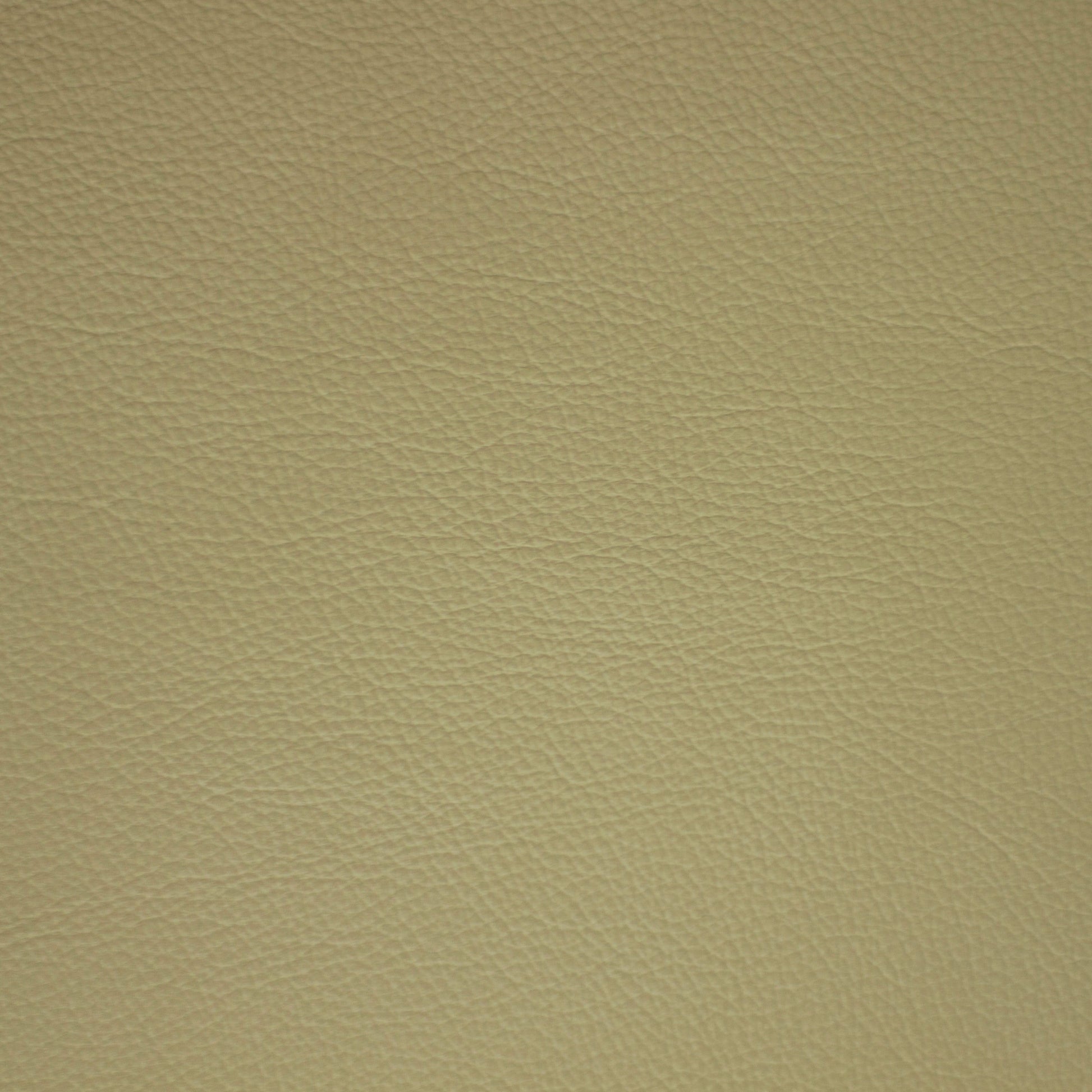 Diva, Jonquil, Iconic® Antimicrobial & Cleanable, Hospitality Leather Hide