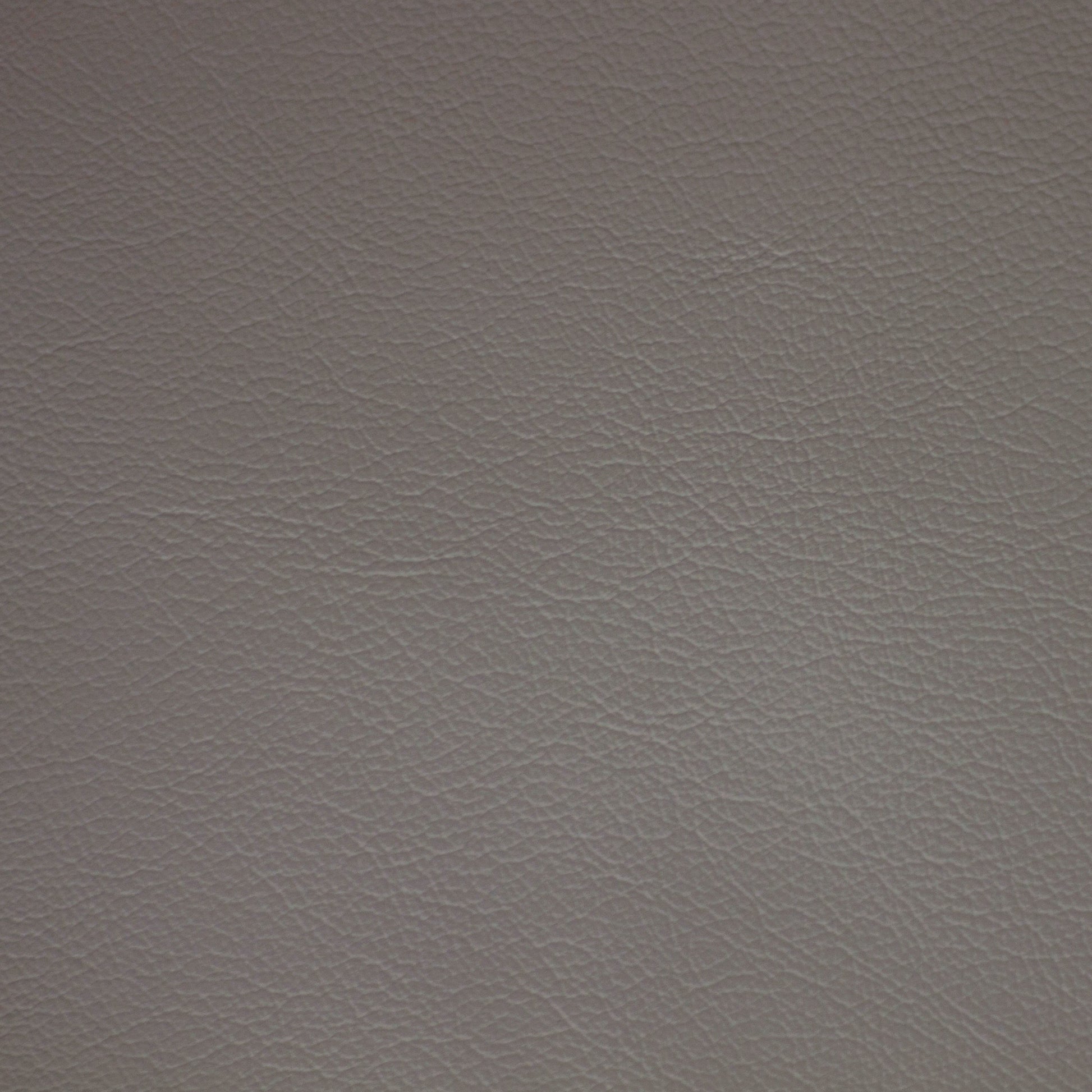 Diva, Modesty, Iconic® Antimicrobial & Cleanable, Hospitality Leather Hide