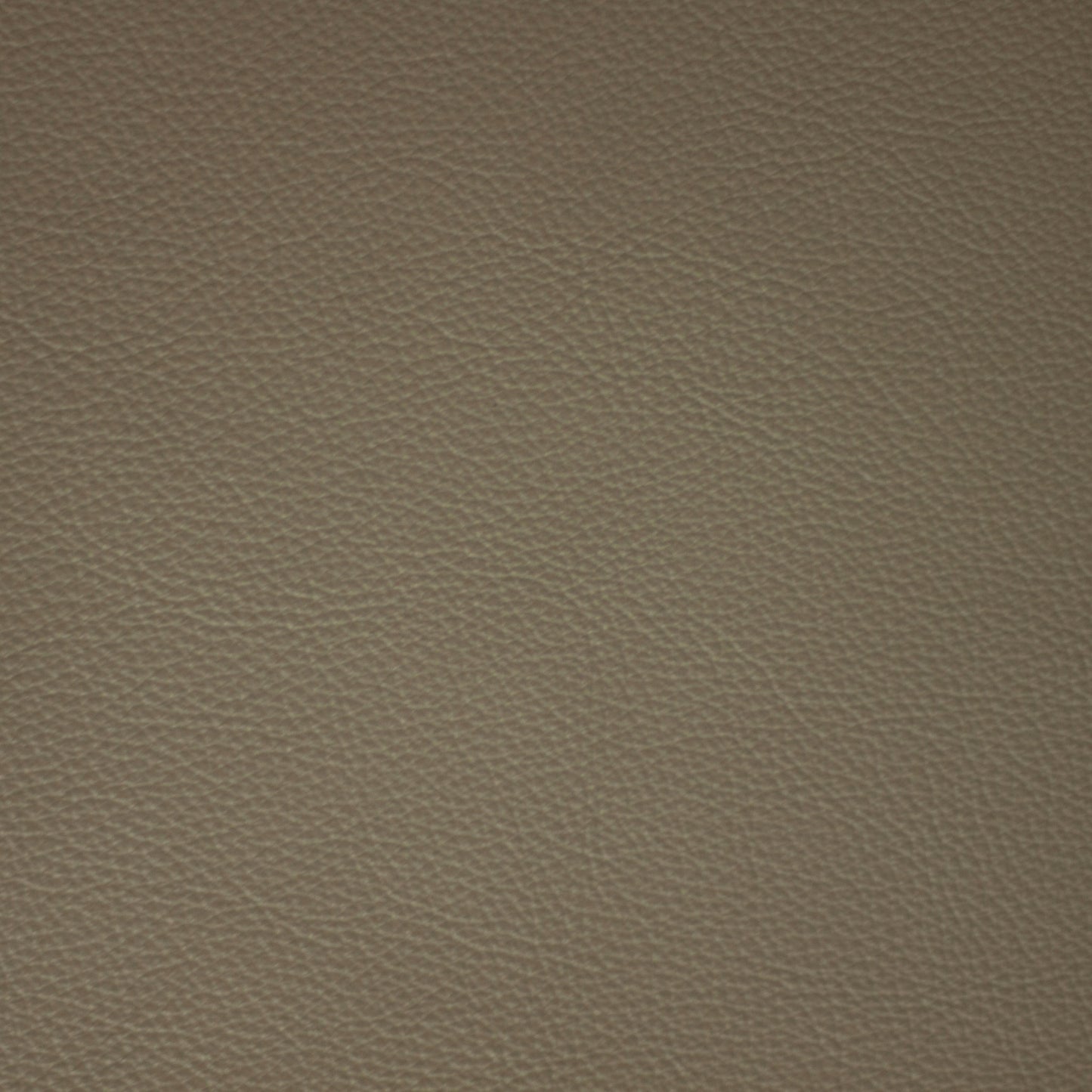 Diva, Stucco, Iconic® Antimicrobial & Cleanable, Hospitality Leather Hide