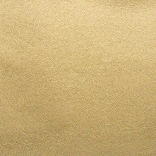 Empire Canvas