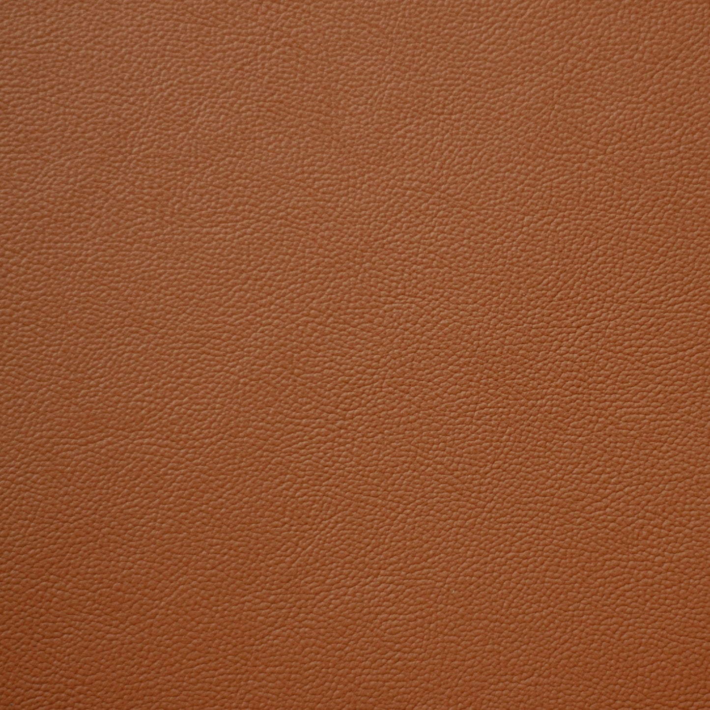 Empire, Chariot, Iconic® Antimicrobial & Cleanable, Hospitality Leather Hide