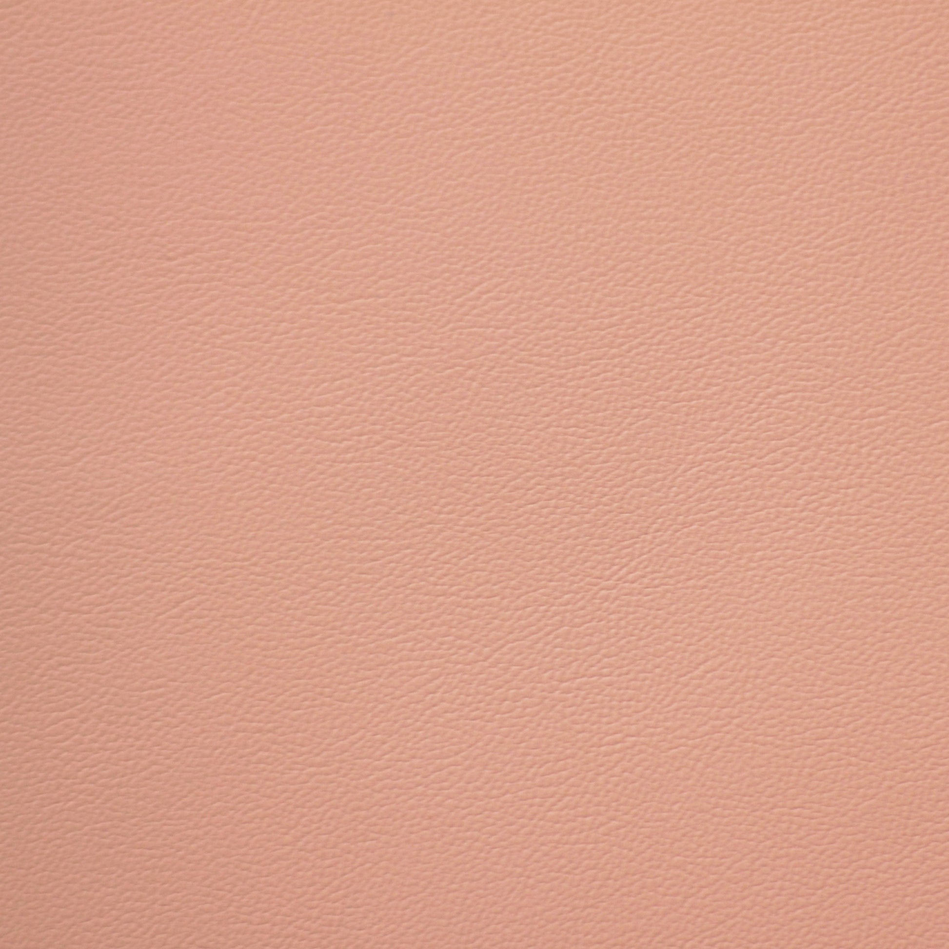 Empire, Jersey Shallot, Iconic® Antimicrobial & Cleanable, Hospitality Leather Hide