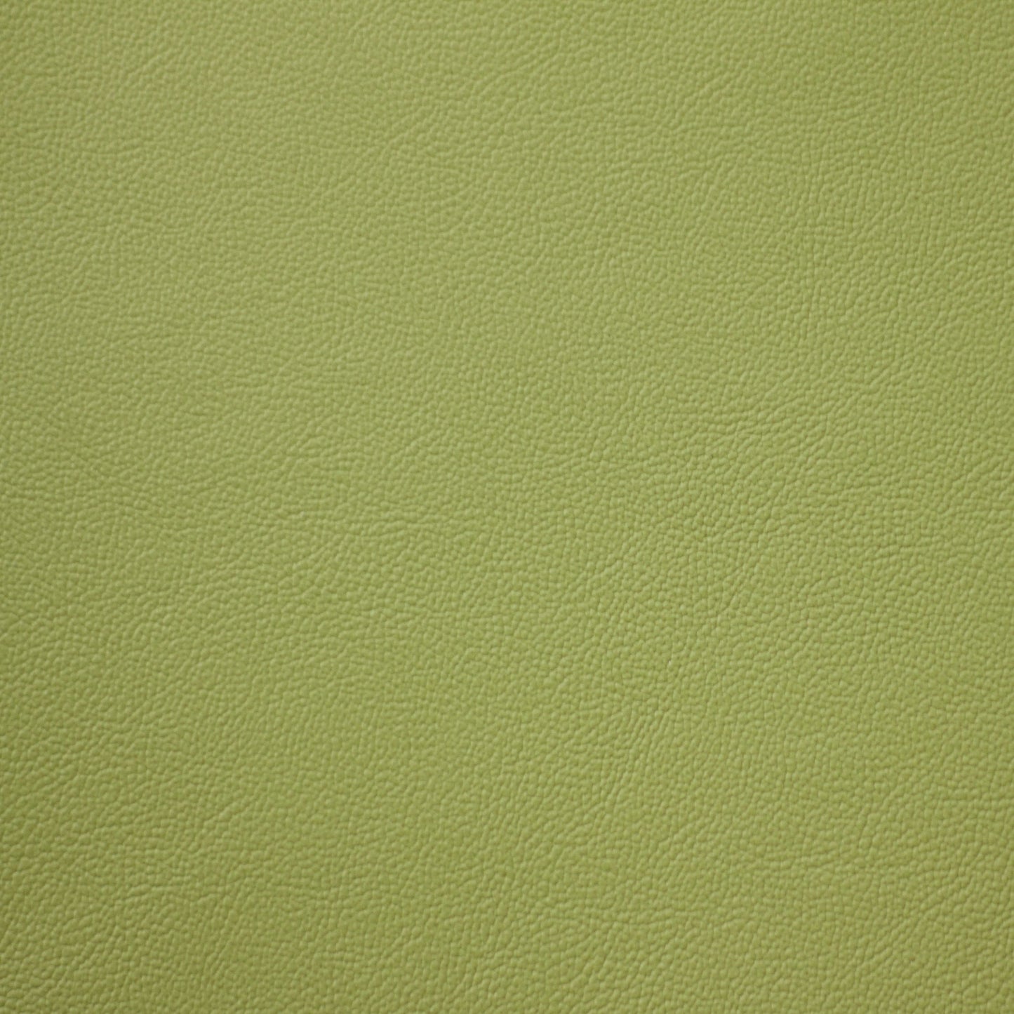 Empire, Mantis, Iconic® Antimicrobial & Cleanable, Hospitality Leather Hide