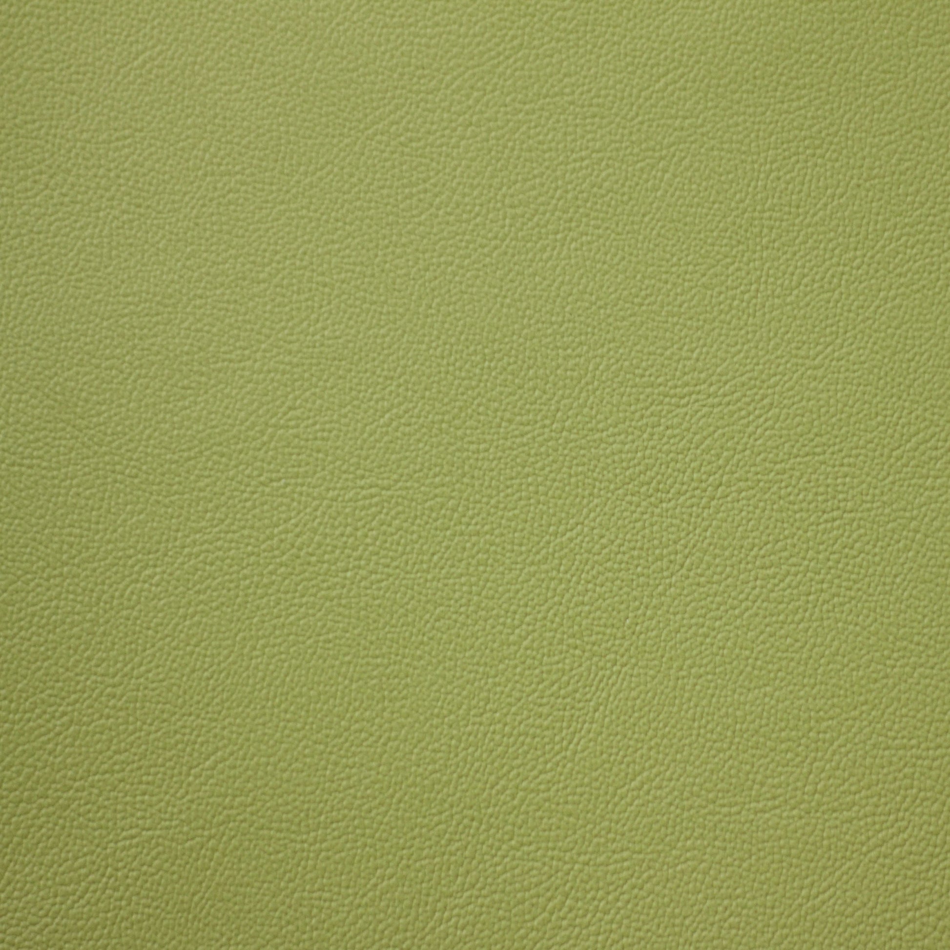 Empire, Mantis, Iconic® Antimicrobial & Cleanable, Hospitality Leather Hide
