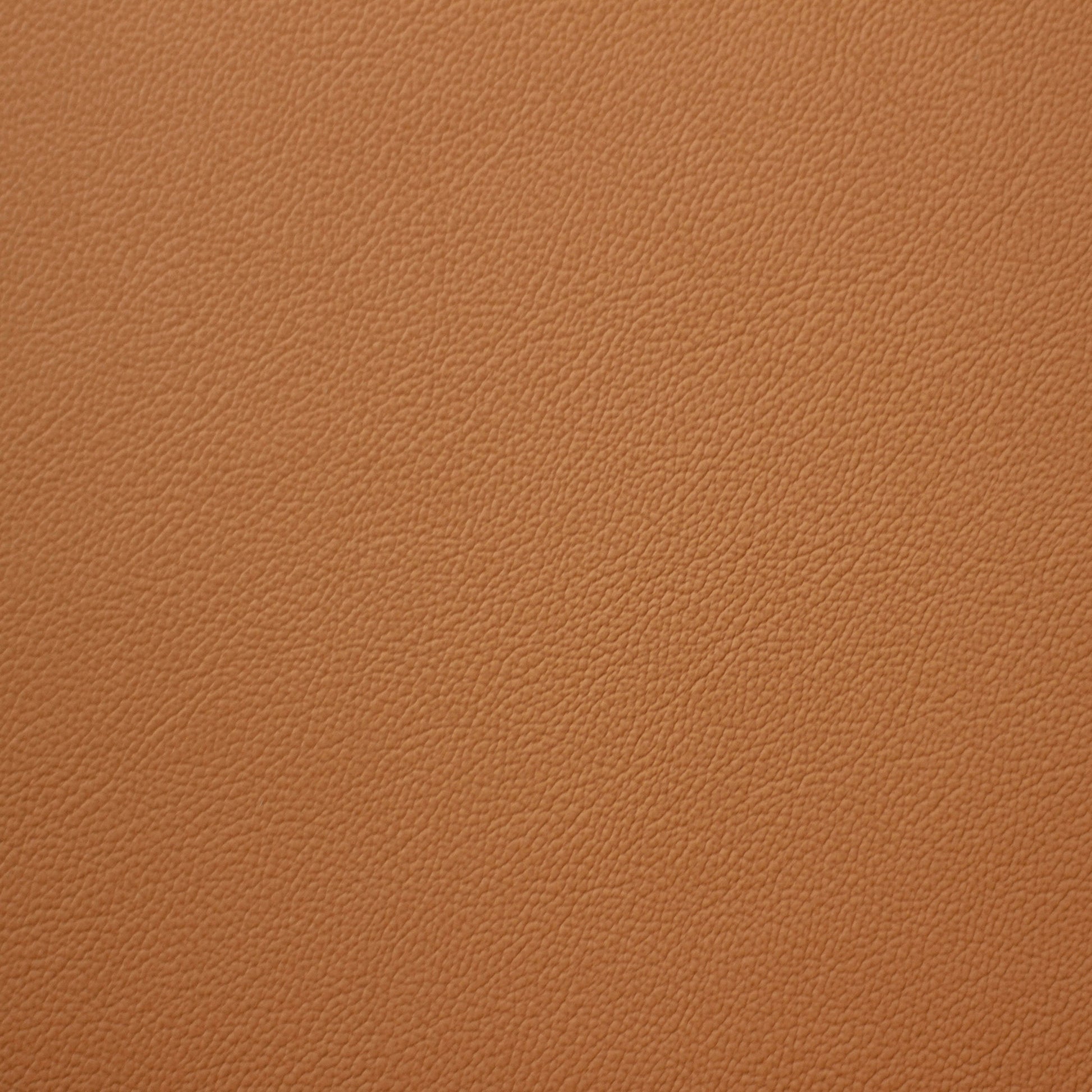 Empire, Paddington, Iconic® Antimicrobial & Cleanable, Hospitality Leather Hide