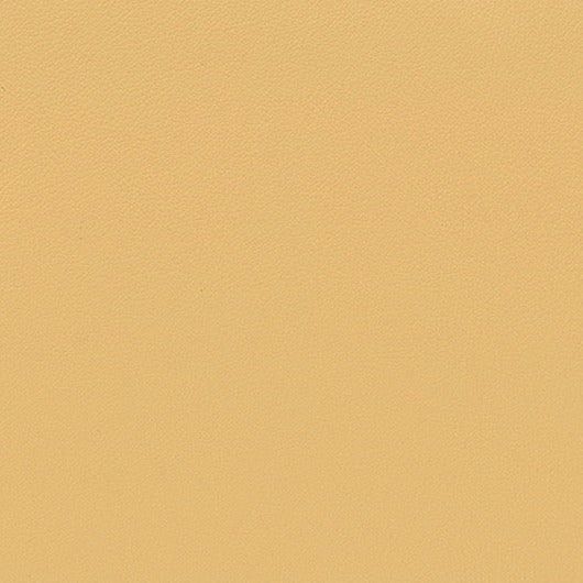 Encore, Loquat, Iconic® Antimicrobial & Cleanable, Hospitality Leather Hide