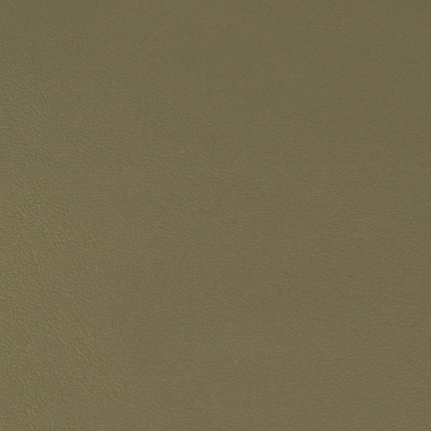 Encore, Spanish Moss, Iconic® Antimicrobial & Cleanable, Hospitality Leather Hide