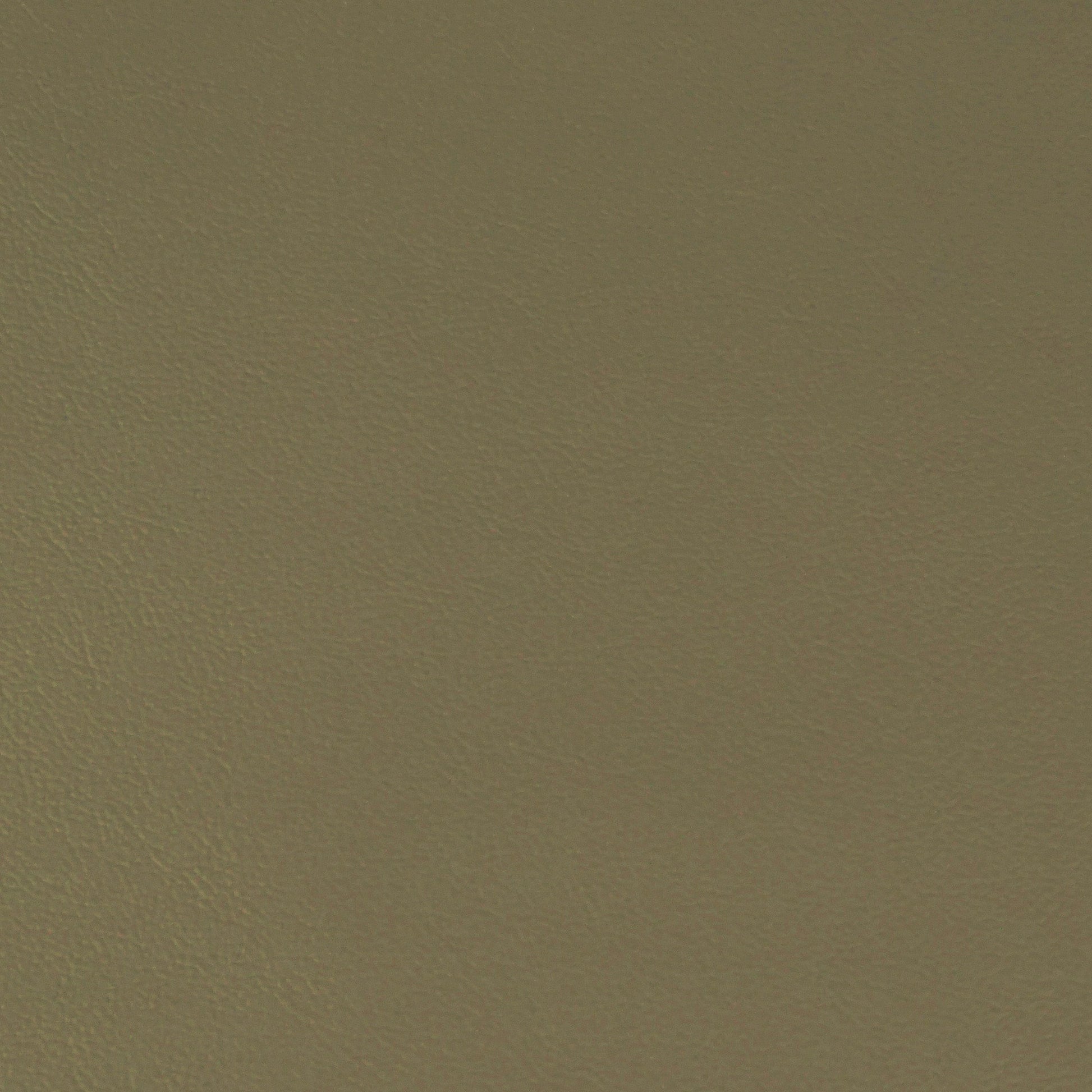 Encore, Spanish Moss, Iconic® Antimicrobial & Cleanable, Hospitality Leather Hide