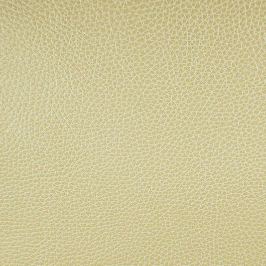 Jamboree. Pavilion, Iconic® Antimicrobial & Cleanable, Hospitality Leather Hide