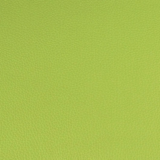 Jamboree. Jamboree, Iconic® Antimicrobial & Cleanable, Hospitality Leather Hide