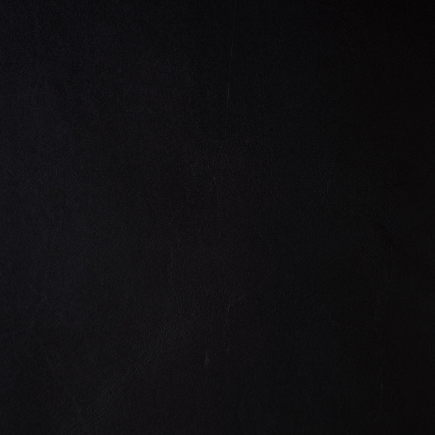 Kaleidoscope Swallowtail