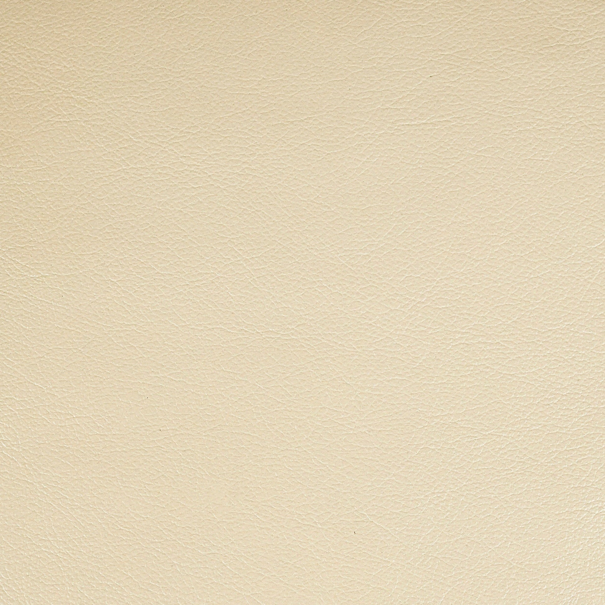 Kismet, Balsa,  Iconic® Antimicrobial & Cleanable, Hospitality Leather Hide