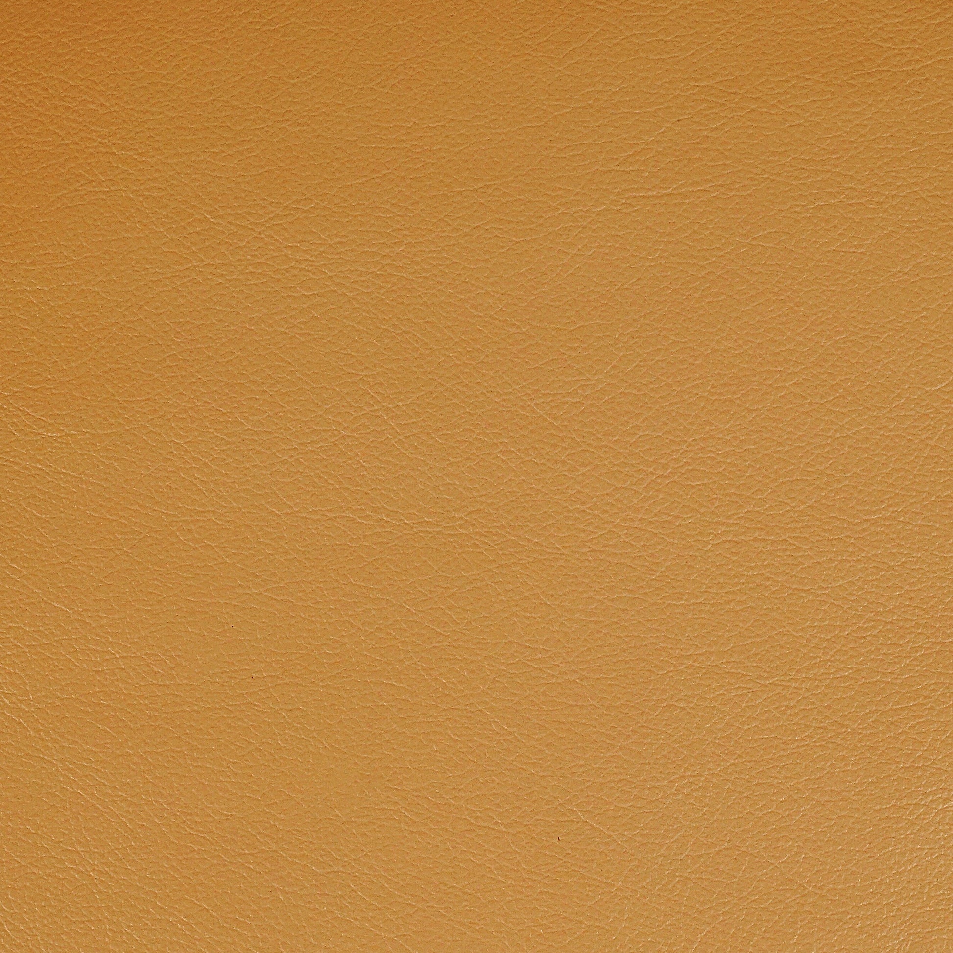 Kismet, Bishop, Iconic® Antimicrobial & Cleanable, Hospitality Leather Hide