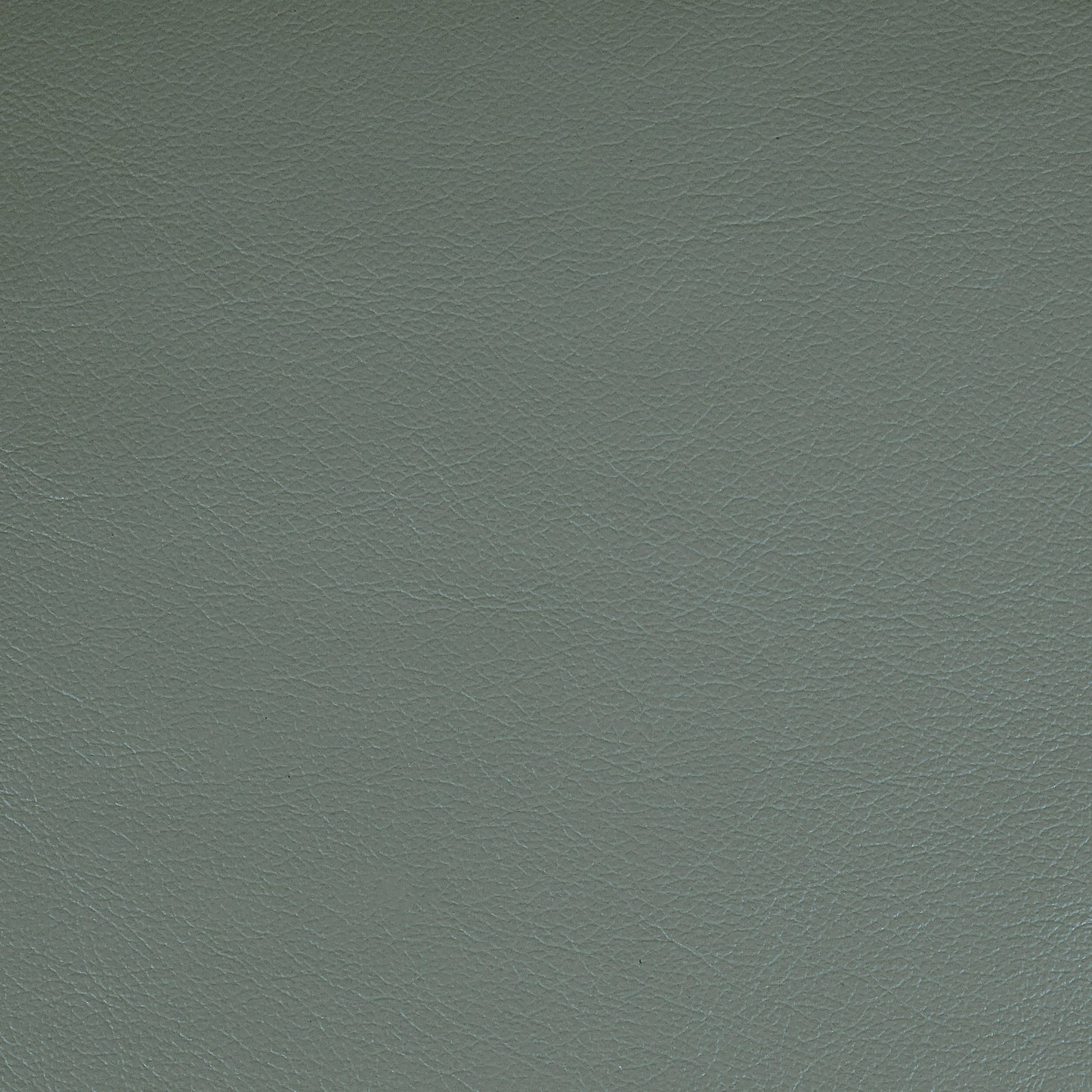 Kismet, Catalina, Iconic® Antimicrobial & Cleanable, Hospitality Leather Hide