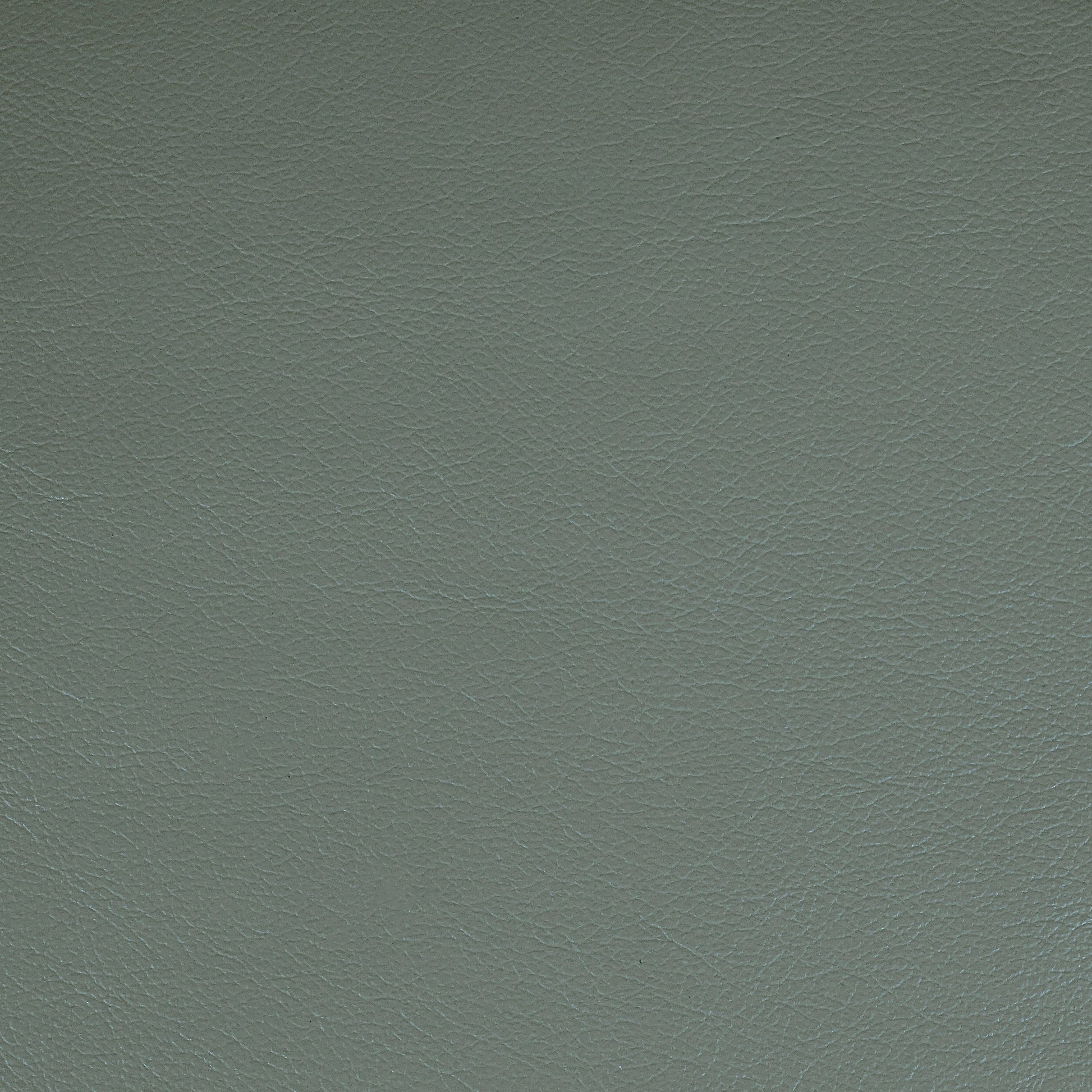 Kismet, Catalina, Iconic® Antimicrobial & Cleanable, Hospitality Leather Hide