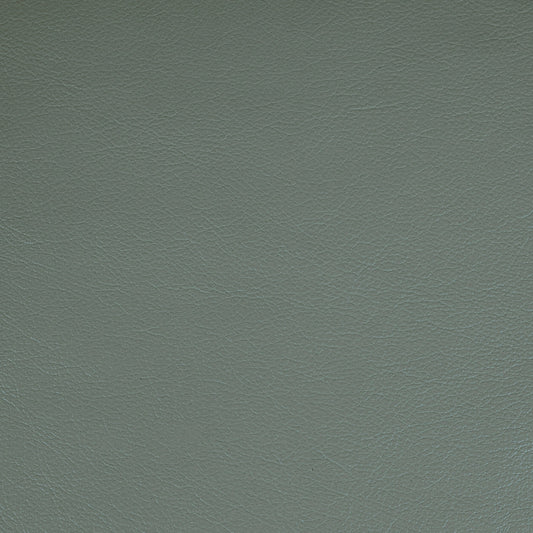 Kismet, Catalina, Iconic® Antimicrobial & Cleanable, Hospitality Leather Hide