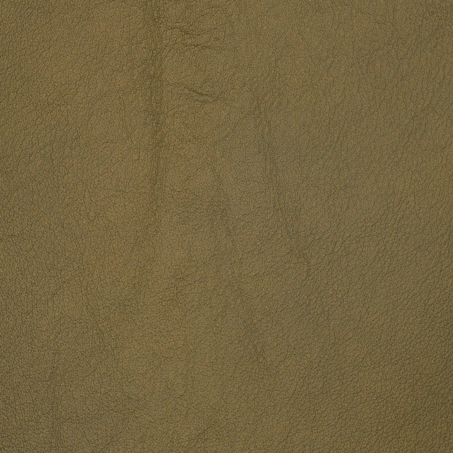 leather swatch brown color with subtle grains.