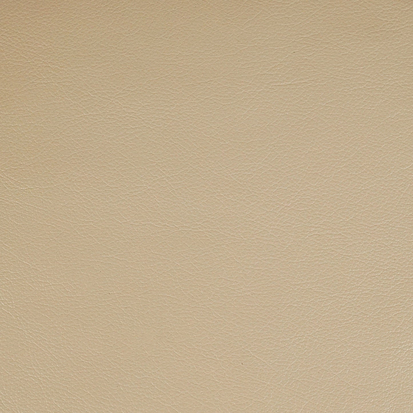 Kismet, Turtledove, Iconic® Antimicrobial & Cleanable, Hospitality Leather Hide