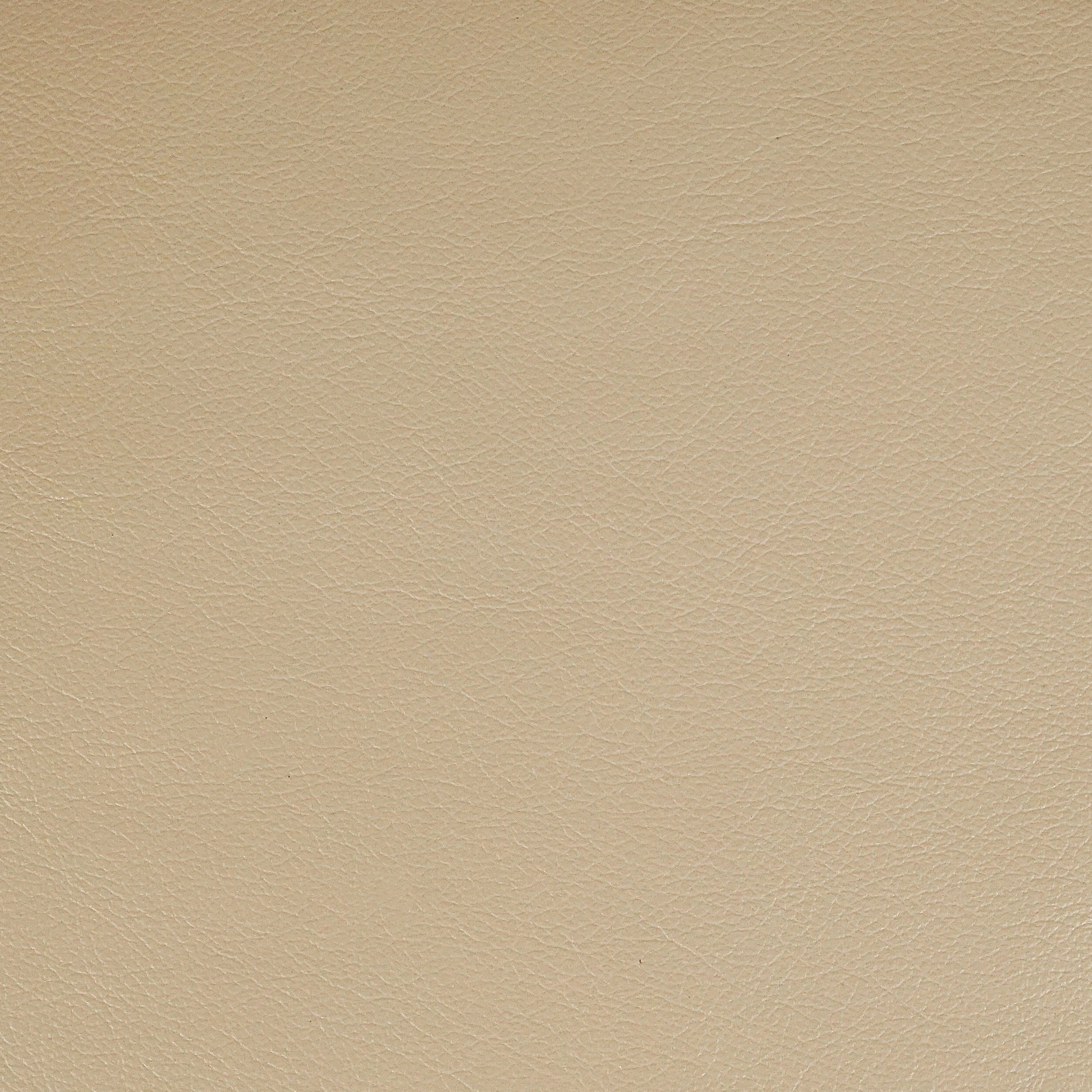Kismet, Turtledove, Iconic® Antimicrobial & Cleanable, Hospitality Leather Hide