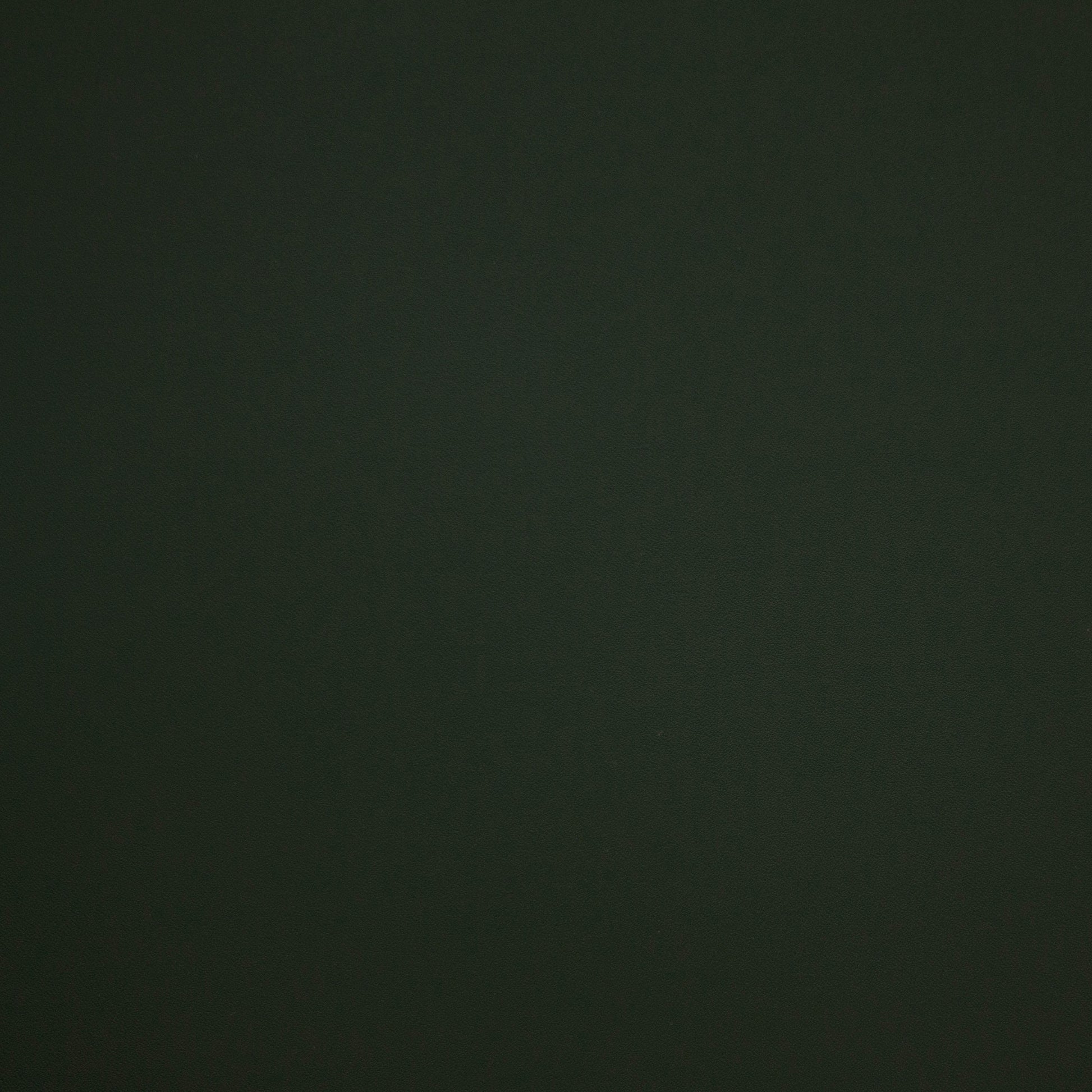 Luminary, Marsh, Iconic® Antimicrobial & Cleanable, Hospitality Leather Hide