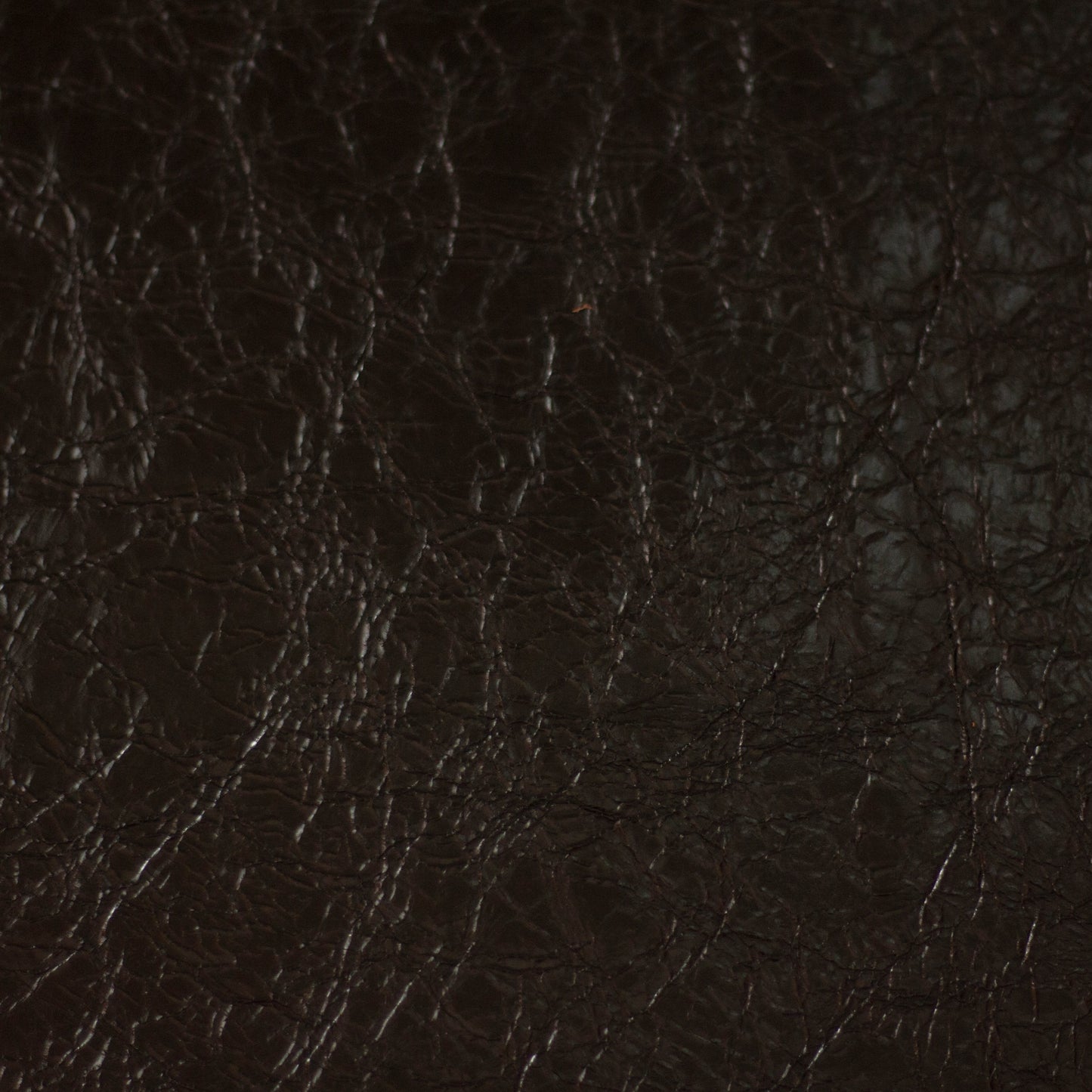 Old Hollywood, Dahila, Spilltop® Water Resistance, Hospitality Leather Hide