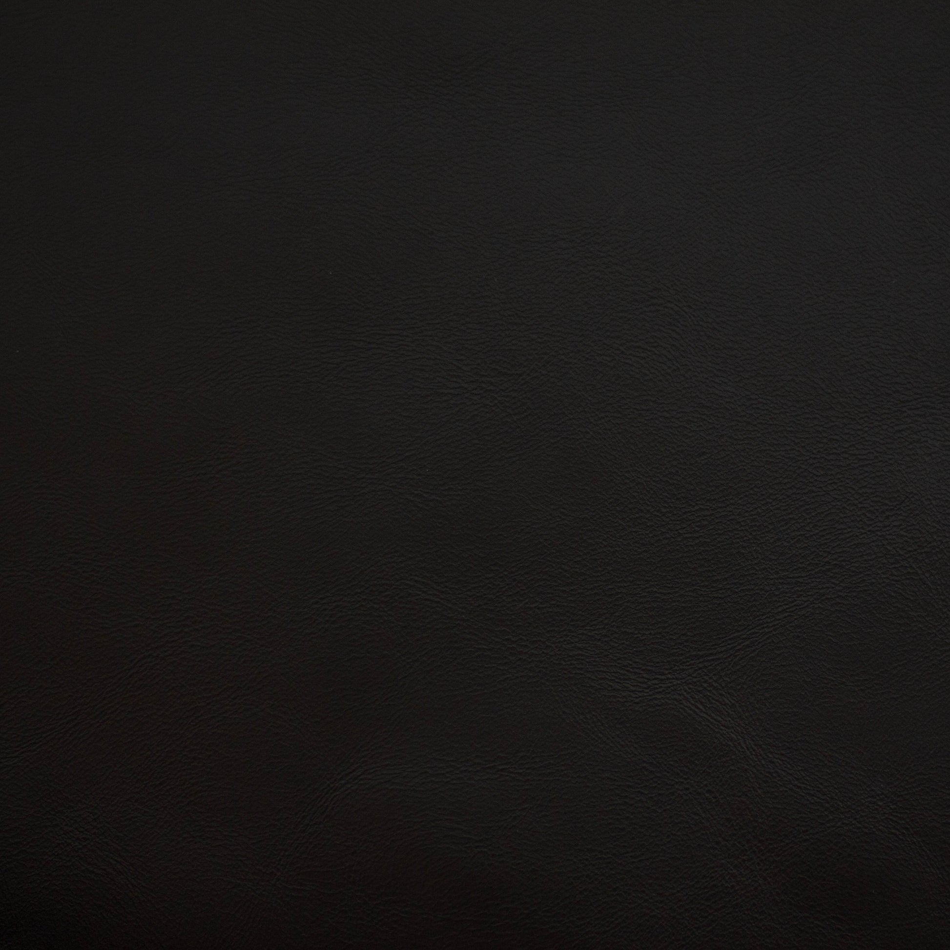 Old Town, Onyx, Spilltop® Water Resistance, Hospitality Leather Hide