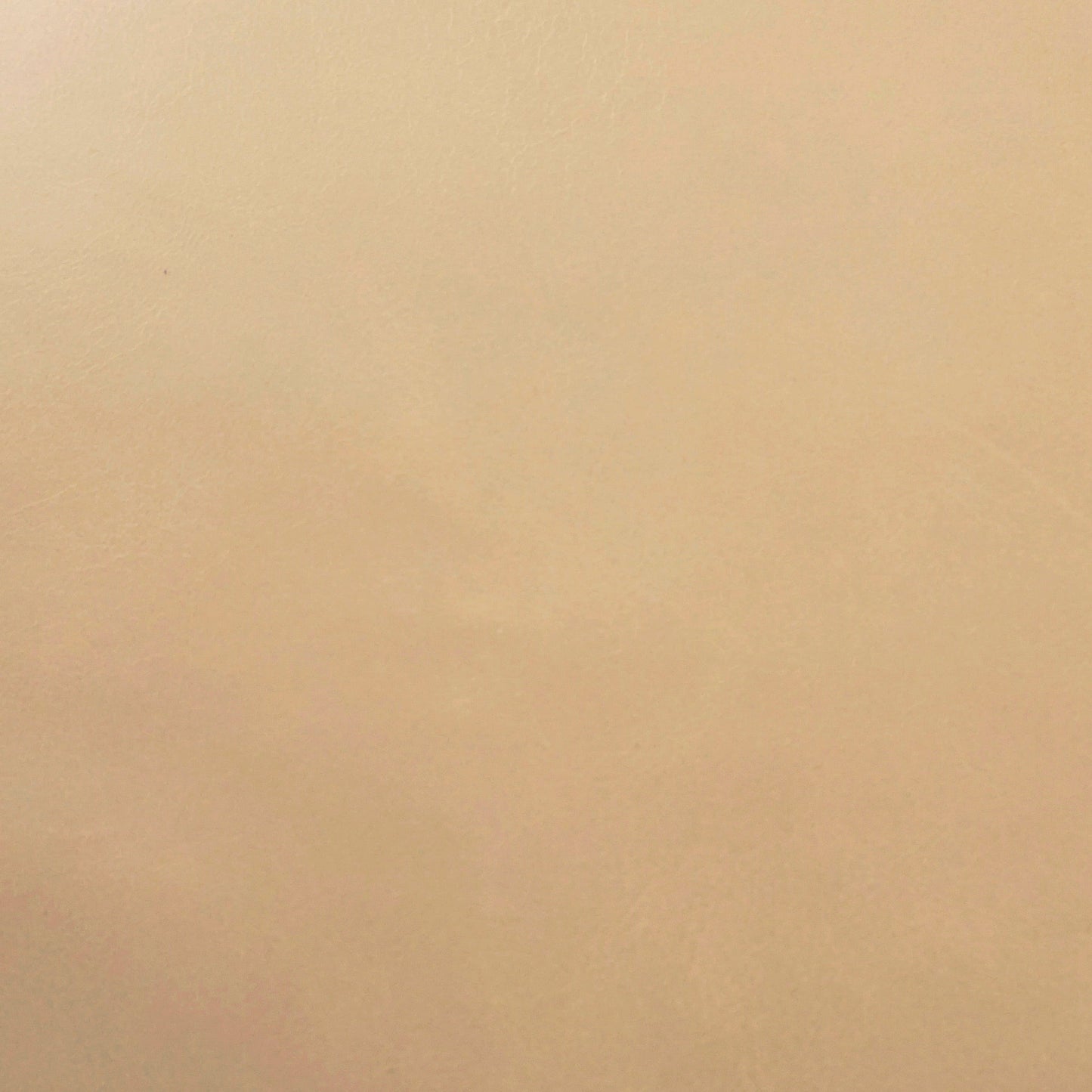 Old Town, Putty, Spilltop® Water Resistance, Hospitality Leather Hide