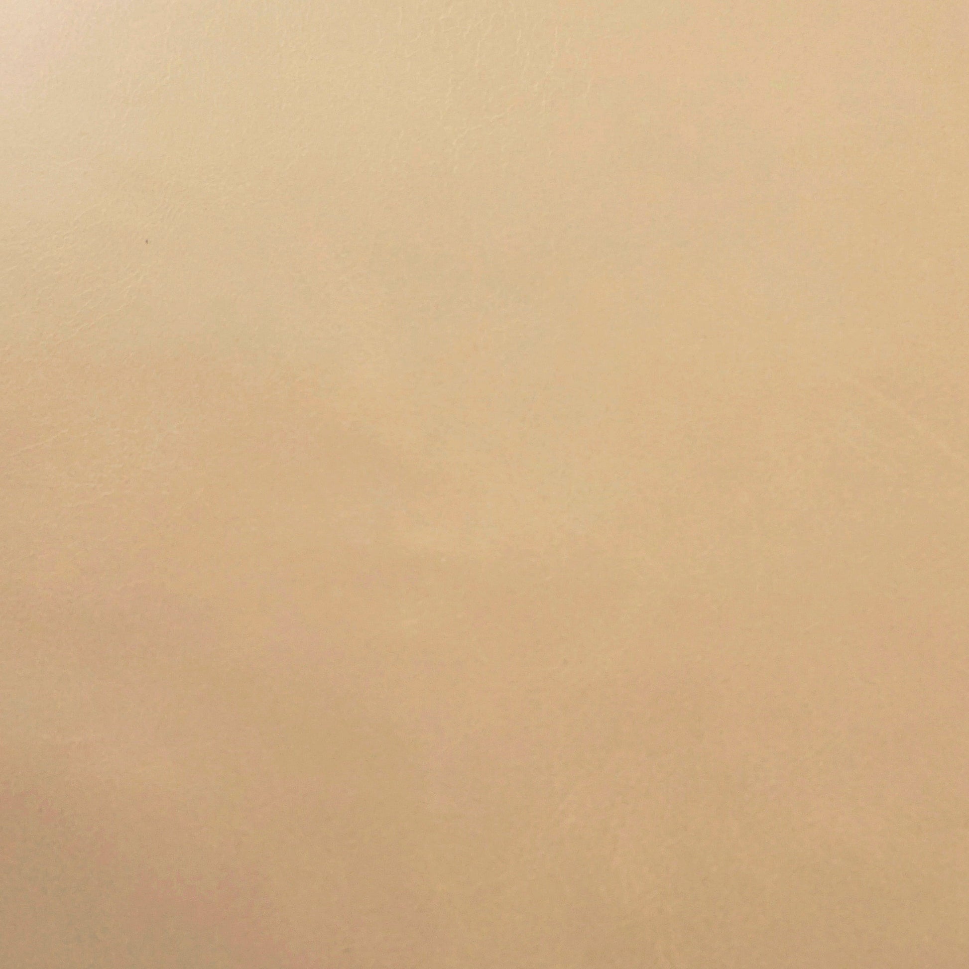 Old Town, Putty, Spilltop® Water Resistance, Hospitality Leather Hide