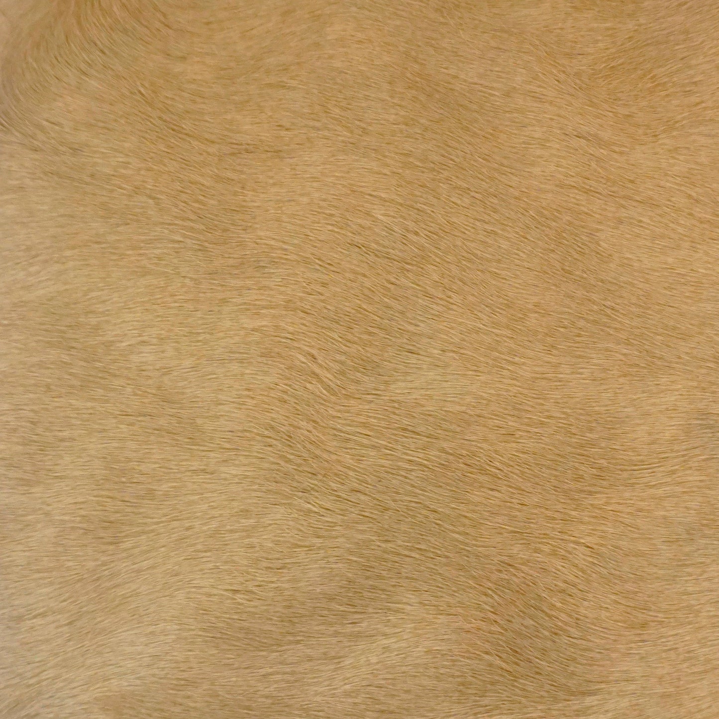 Opaline, Biscotti, Residential Leather Hide