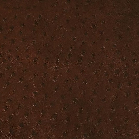 Ostrich, Chocolate, Spilltop® Water Resistance, Hospitality Leather Hide
