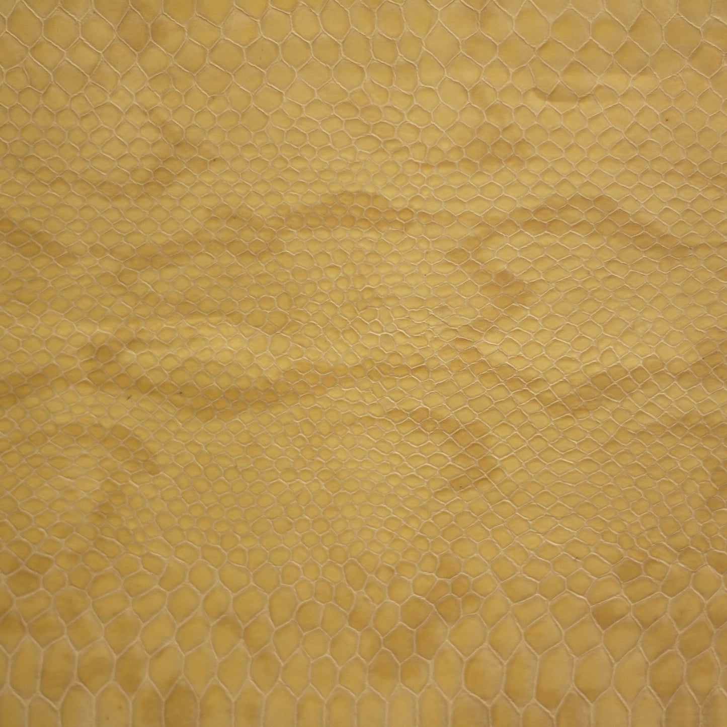 Python, Fang, Spilltop® Water Resistance, Hospitality Leather Hide