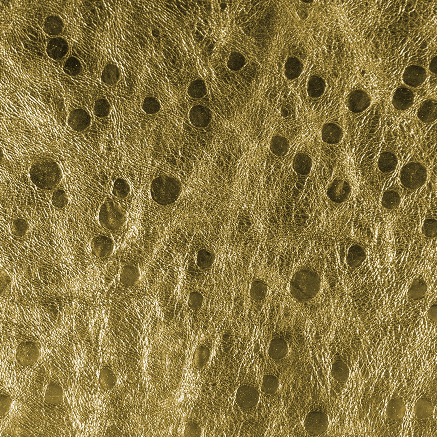 Textured gold surface with circular patterns