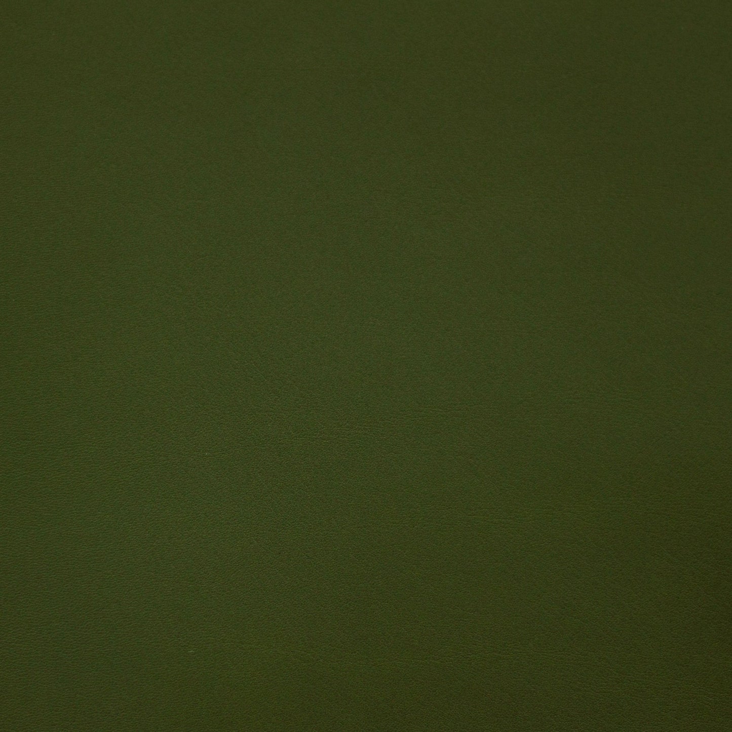 Renaissance, Caesar, Iconic® Antimicrobial & Cleanable, Hospitality Leather Hide